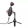 Trust GXT 244 Buzz Juoda, Red PC mikrofonas