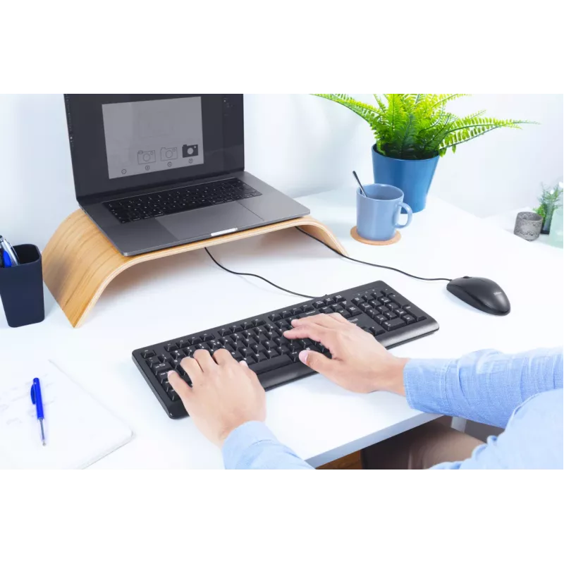 Trust Primo klaviatūra universali USB AZERTY belgiška juoda