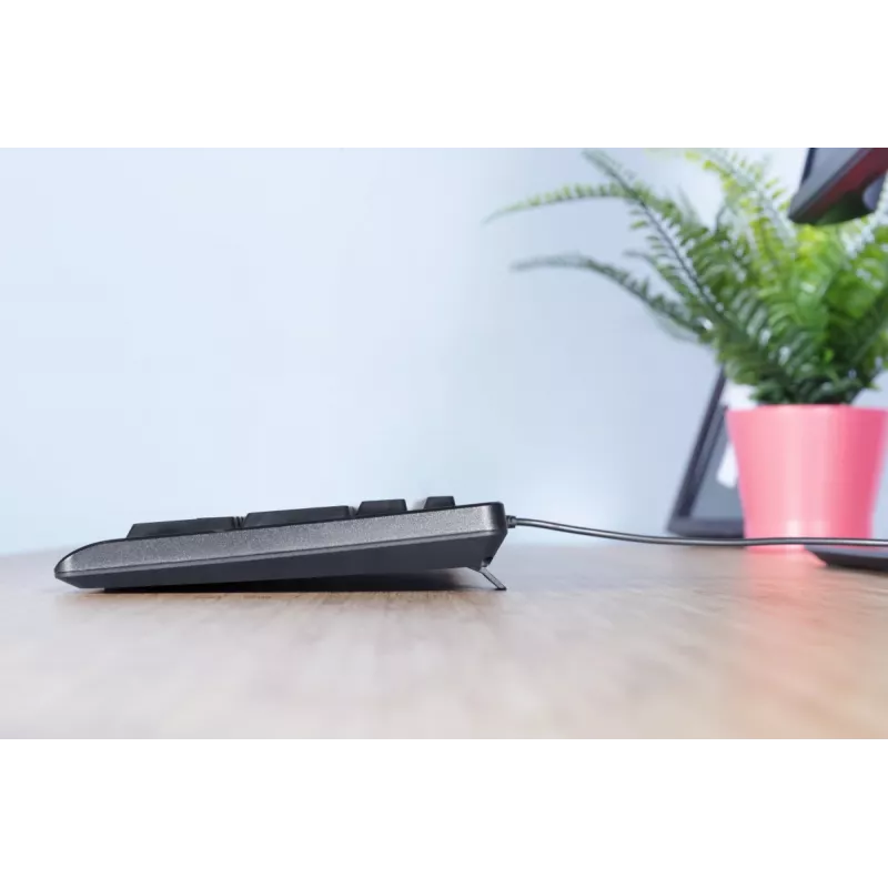 Trust Primo klaviatūra universali USB AZERTY belgiška juoda