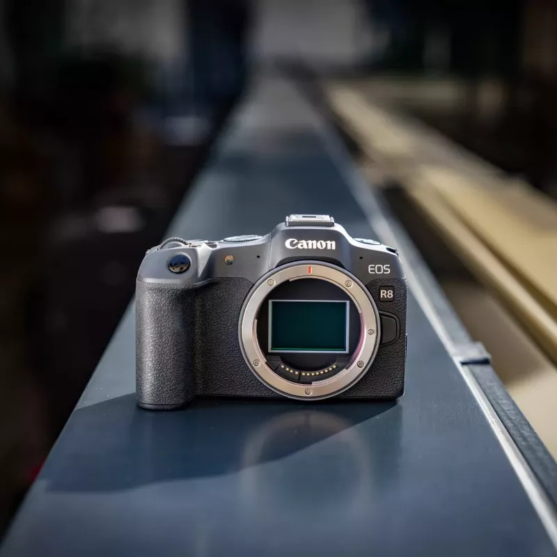 Canon EOS R8 + RF 24-105mm F4-7.1 IS STM MILC 24,2 MP CMOS 6000 x 4000 pikselių juoda