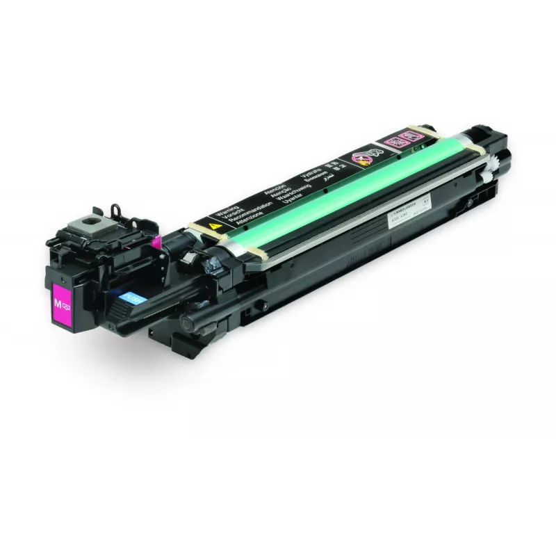 Epson fotolaidininko blokas, purpurinis, 30000 puslapių, purpurinis, 1 vnt.