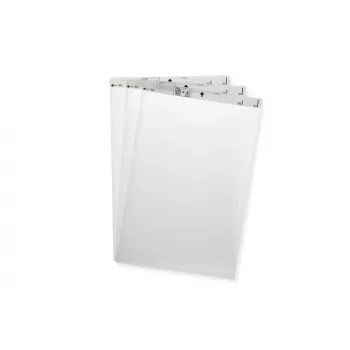 Epson nešiklio lapas, Nešiklio lapas, 1 vnt.