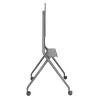 ACT Mobilus televizoriaus / monitoriaus ant grindų stovas, nuo 50 inch iki 86 inch, VESA, 127 cm (50 coliai), 2,18 m (86 coliai), 200 x 200 mm, 800 x 600 mm, Aliuminis, Plastikas, Plienas, Pilka