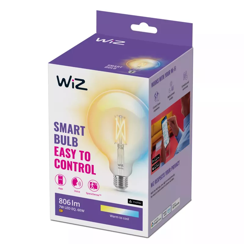 „WiZ“ kaitrinė lemputė skaidri 60 W G125 E27, išmani lemputė, „Wi-Fi“ / „Bluetooth“, permatoma, „Wi-Fi 4“ (802.11n), 802.11b, 802.11g, LED, E27