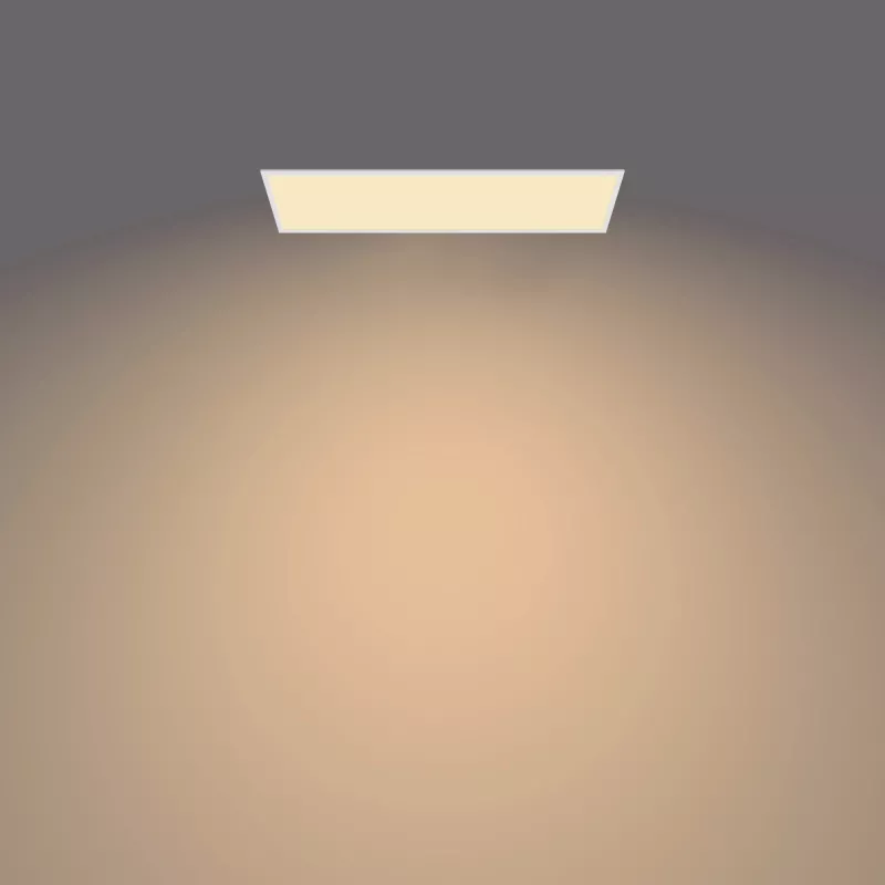 Philips Functional Panel Lubinė Šviestuvas 36 W Stačiakampis