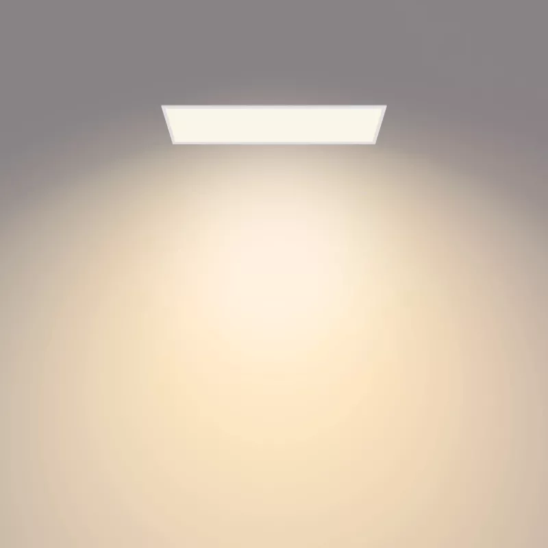 Philips Functional Panel Lubinė Šviestuvas 36 W Stačiakampis