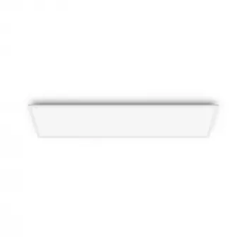 Lubinis šviestuvas Philips Functional Panel 36 W LED stačiakampis 300×1200×42 mm, baltas