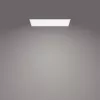 Lubinis šviestuvas Philips Functional Panel 36 W LED stačiakampis 300×1200×42 mm, baltas