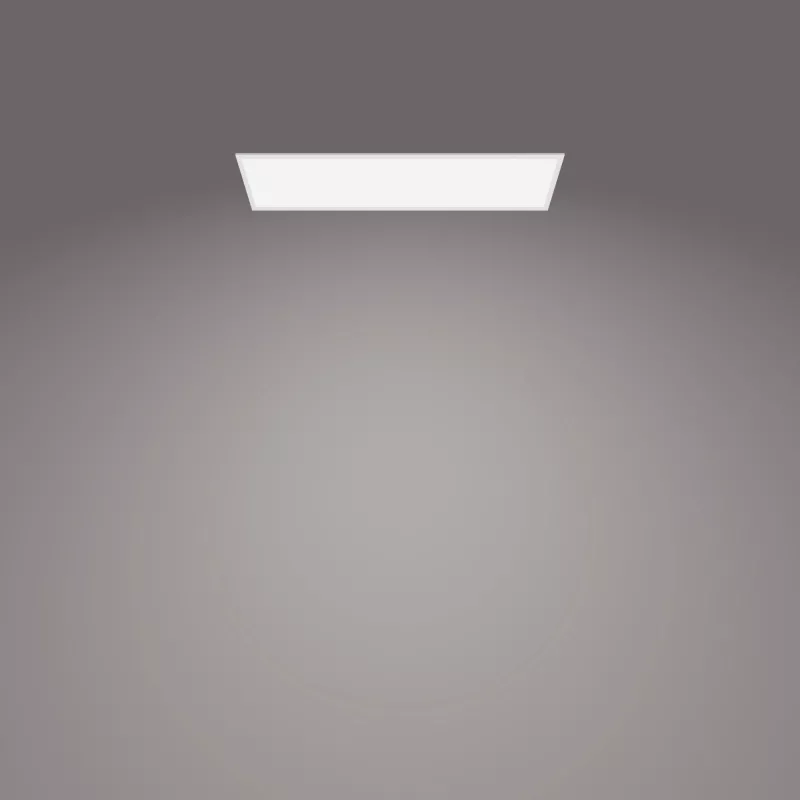 Lubinis šviestuvas Philips Functional Panel 36 W LED stačiakampis 300×1200×42 mm, baltas