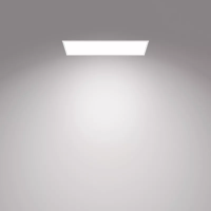 Lubinis šviestuvas Philips Functional Panel 36 W LED stačiakampis 300×1200×42 mm, baltas