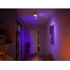 Philips Hue White and colour ambience Centris 2 taškų lubinis šviestuvas