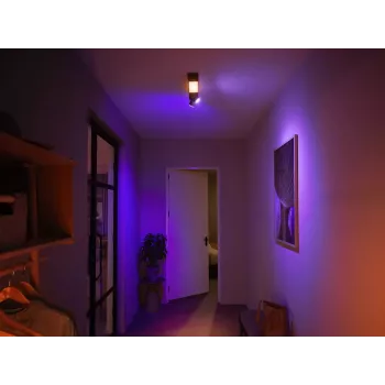 Philips Hue White and colour ambience Centris 2 taškų lubinis šviestuvas