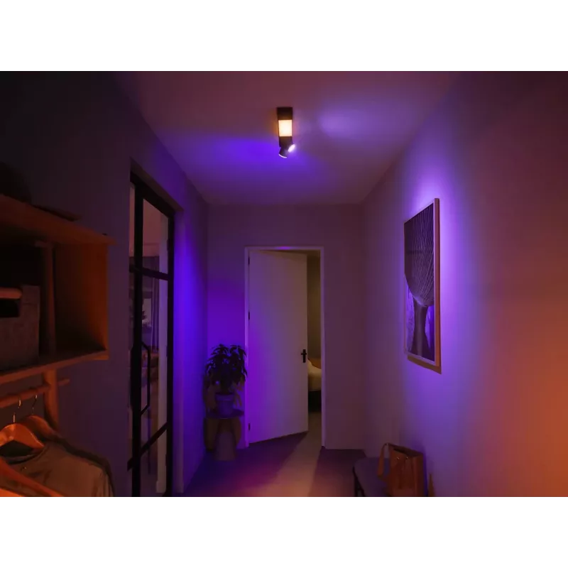 Philips Hue White and colour ambience Centris 2 taškų lubinis šviestuvas