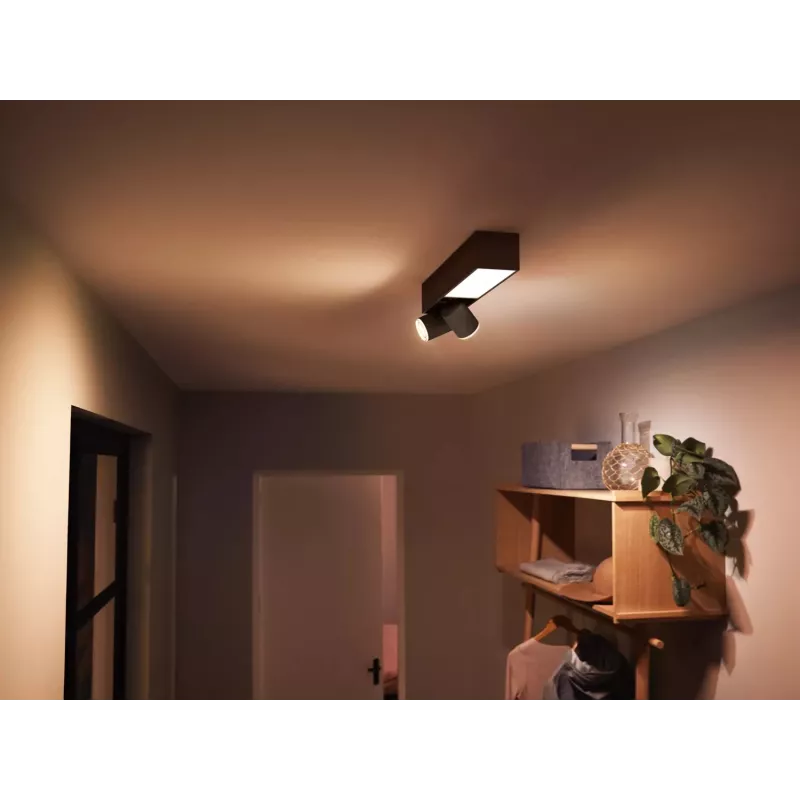 Philips Hue White and colour ambience Centris 2 taškų lubinis šviestuvas