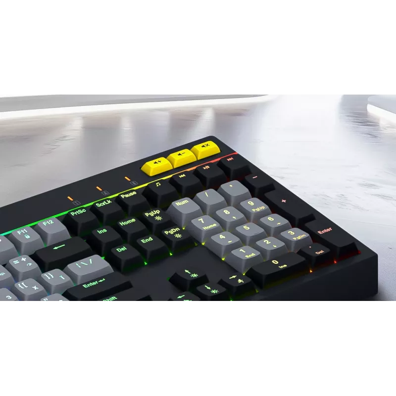 HATOR Icefall klaviatūra Žaidimų USB QWERTY US English Juoda RGB LED
