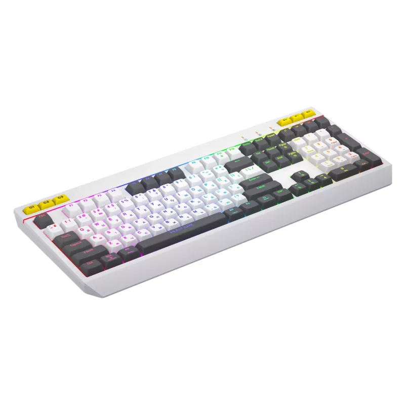 HATOR Icefall klaviatūra, žaidimams, USB, QWERTY, JAV anglų k., balta, pilno dydžio, RGB LED
