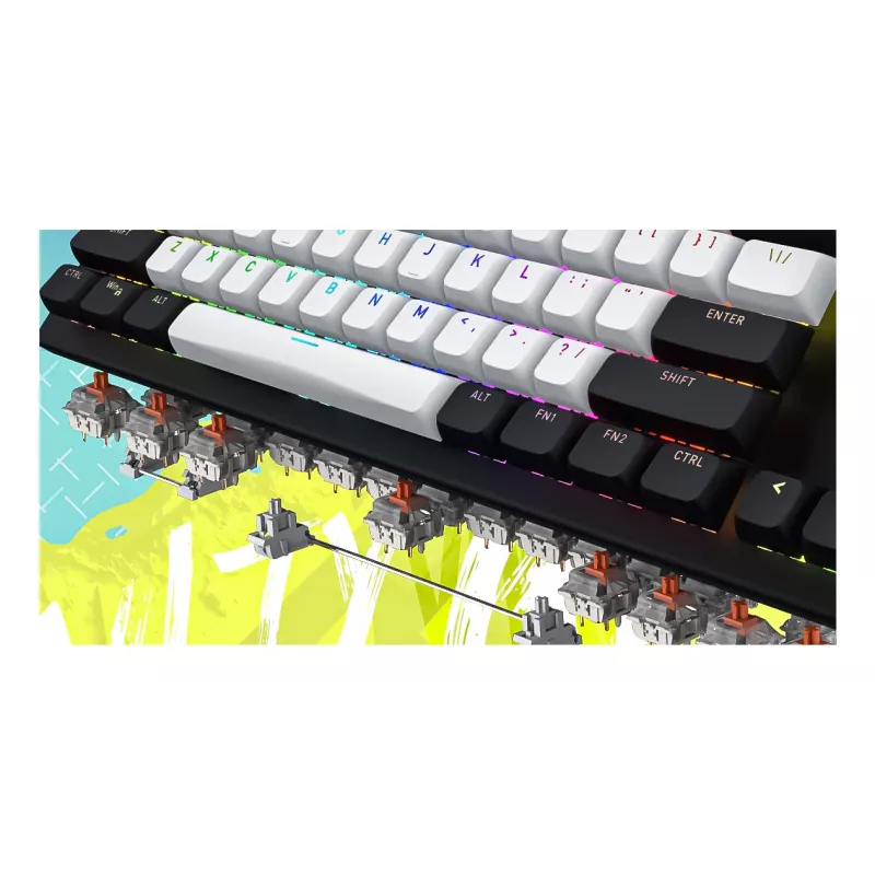 HATOR Gravity TKL klaviatūra Žaidimų USB QWERTY US anglų kalba Balta