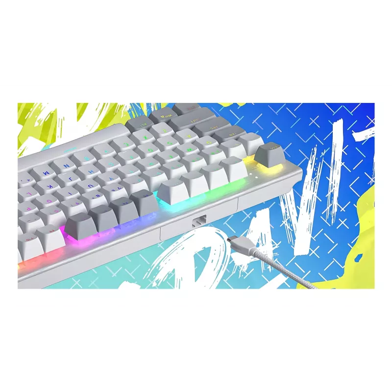 HATOR Gravity TKL klaviatūra Žaidimų USB QWERTY US anglų kalba Balta