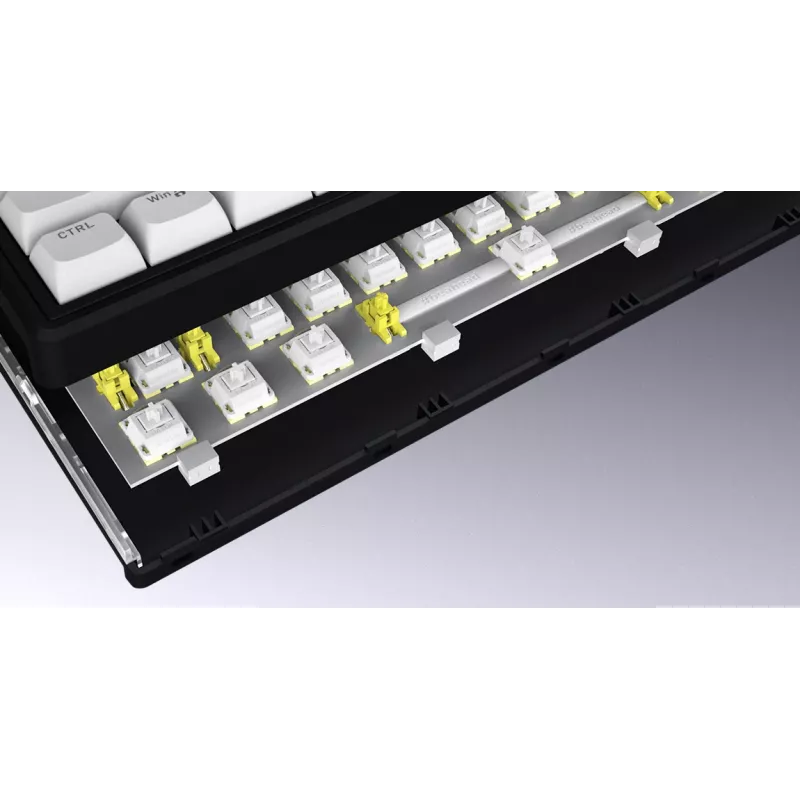 HATOR Skyfall Wireless 80 klaviatūra Žaidimų USB + RF belaidė + Bluetooth QWERTY JAV anglų Juoda, Balta