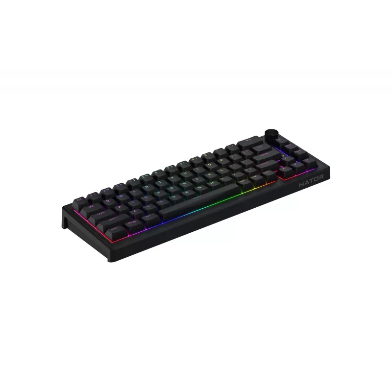 HATOR Skyfall 65 Laidinė, Mechaninė, USB-C, Aurum Sterling, 70M paspaudimų, RGB, Juoda, 790g