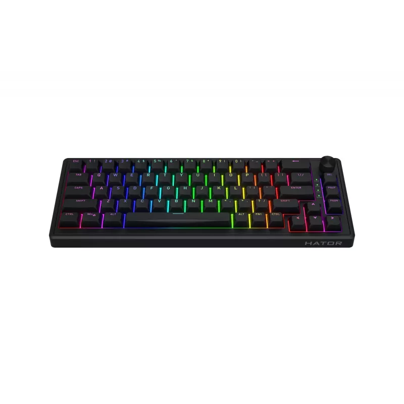 HATOR Skyfall 65 Laidinė, Mechaninė, USB-C, Aurum Sterling, 70M paspaudimų, RGB, Juoda, 790g
