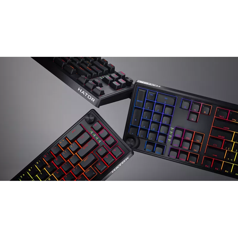 HATOR Skyfall 65 Laidinė, Mechaninė, USB-C, Aurum Sterling, 70M paspaudimų, RGB, Juoda, 790g