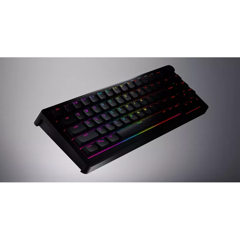 HATOR Skyfall 65 Laidinė, Mechaninė, USB-C, Aurum Sterling, 70M paspaudimų, RGB, Juoda, 790g