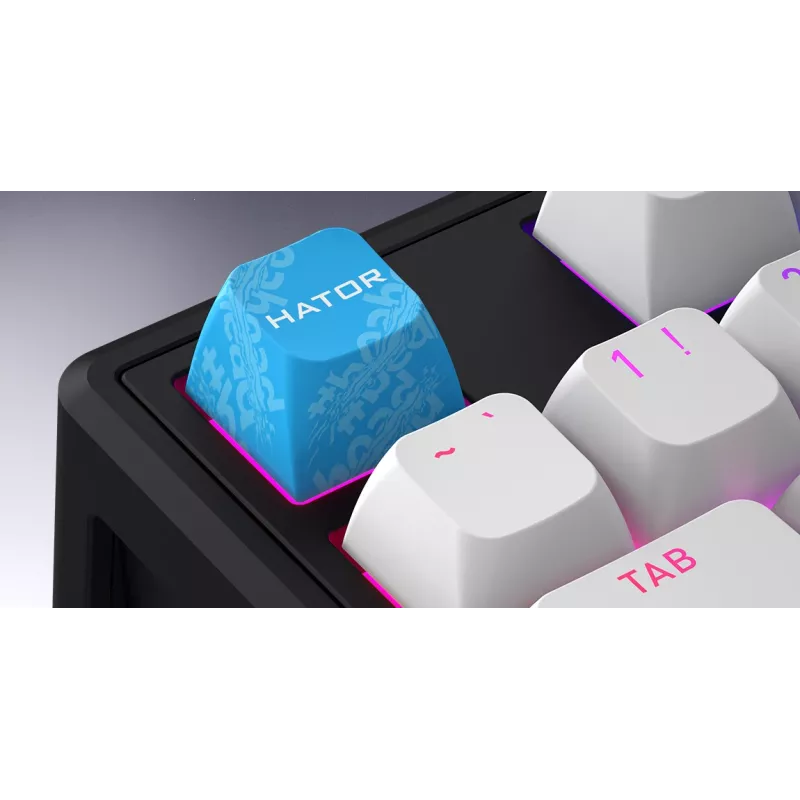 HATOR Skyfall 80 MAG ULTRA 8K klaviatūra Žaidimams USB QWERTY JAV anglų Juoda, Balta