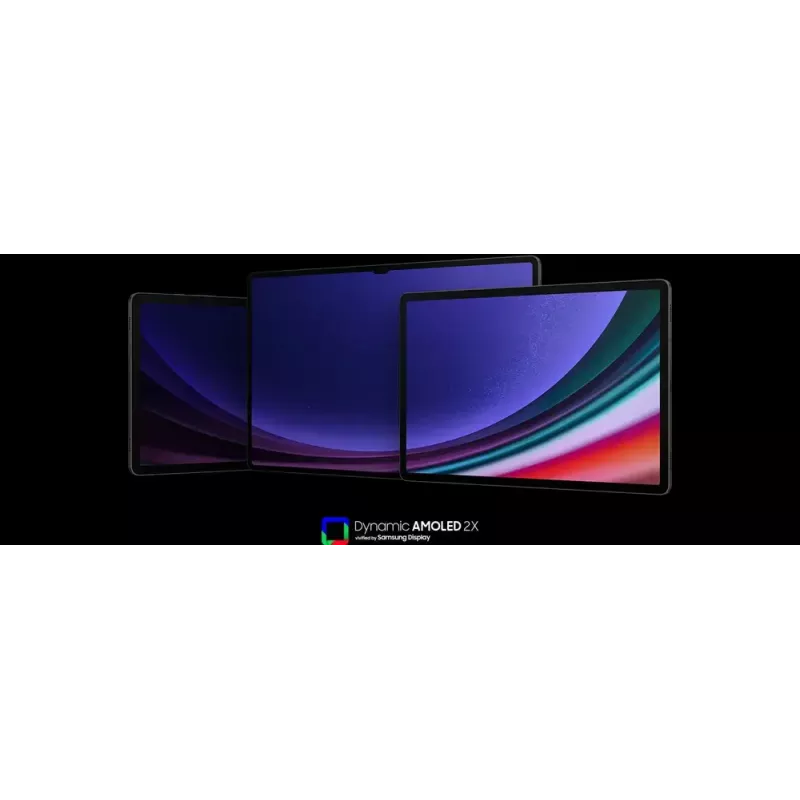 Samsung Galaxy Tab S9 SM-X716B 5G Snapdragon 128 GB 27,9 cm (11 colių) 8 GB Wi-Fi 6 (802.11ax) Android 13 Grafitas