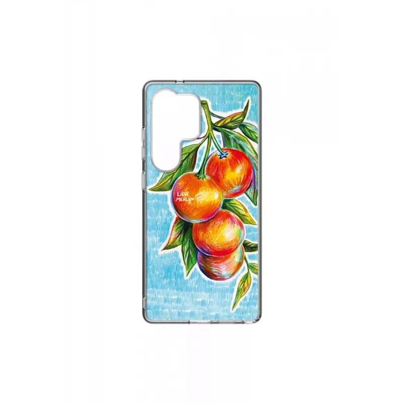 Samsung GP-FPS938AMETW mobiliojo telefono dėklas 17,5 cm (6,9 col.) Uždengimas Daugiaspalvis, permatomas