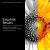 Xerox Genuine ® VersaLink® C400 spalvoto spausdintuvo / C405 spalvoto daugiafunkcio įrenginio žydra ypač didelės talpos dažų kasetė (8000 puslapių) – 106R03530