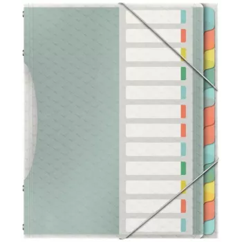 Esselte Colour'Breeze skiriamoji knyga su 12 skirtukų, įvairiaspalvė, polipropilenas (PP), 266 mm, 20 mm, 370 g, 1 vnt.