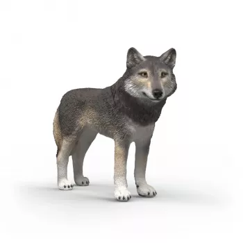 schleich WILD LIFE 14991 vaikiška žaislinė figūrėlė