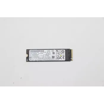 Lenovo 5SS0V26441 vidinis SSD diskas 256 GB M.2 PCI Express 3.0