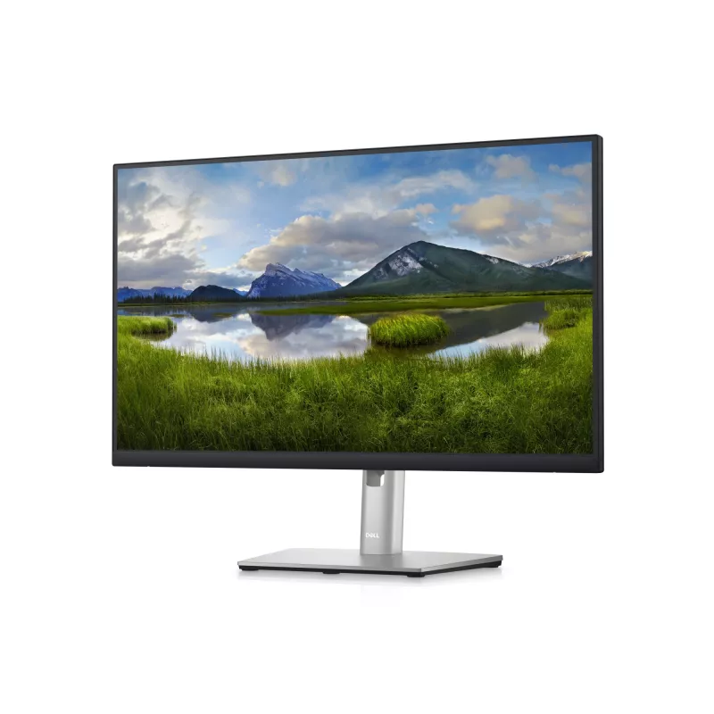 DELL P Series 24 USB-C Hub Monitor - P2423DE, 60.5 cm (23.8 inch), 2560 x 1440 pixels, Quad HD, LCD, 5 ms, Juoda