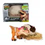 Jurassic World Primal Hatch interaktyvus žaislas dinozauras ir kiaušinis, išperink ir dresuok savo dinozauriuką su daugiau nei 100 garsų ir reakcijų, vaikiški žaislai berniukams ir mergaitėms nuo 5 metų