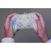 Laidinis RGB žaidimų valdiklis Turtle Beach Afterglow Wave pilkas — USB‑C, 3 m laidas, skirtas Nintendo Switch / Switch 2 / Switch OLED