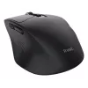 TRUST Niven dešiniarankė biuro belaidė pelė, RF + Bluetooth, 3200 DPI