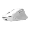 Belaidė dešiniarankė biuro pelė TRUST Niven — RF + Bluetooth, 3200 DPI, 7 mygtukai, ratukas, balta