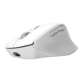 Belaidė dešiniarankė biuro pelė TRUST Niven — RF + Bluetooth, 3200 DPI, 7 mygtukai, ratukas, balta