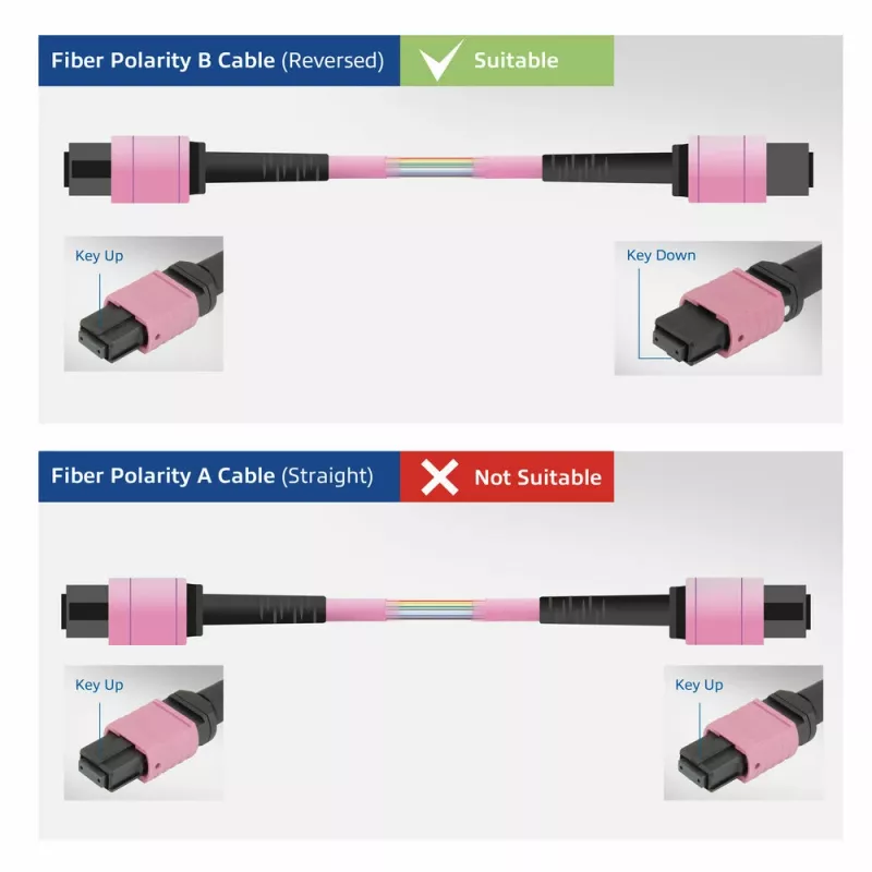 ACT DisplayPort į MTP/MPO adapterių rinkinys, skirtas pratęsti DisplayPort ryšį iki 8K@60Hz