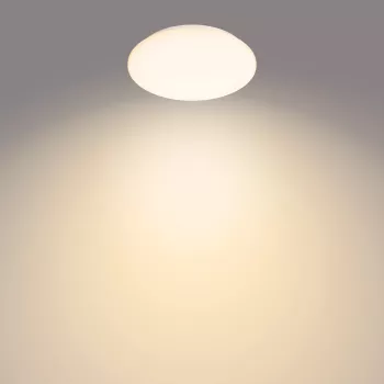 Philips Funkcinis Moire Lubinis Šviestuvas 10 W, LED, Nekeičiama lemputė(s), 2700 K, 1000 lm, IP20, Balta