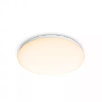 Philips Functional lubinis šviestuvas, LED, nekeičiamos lemputės, 2700 K, 1700 lm, IP20, balta