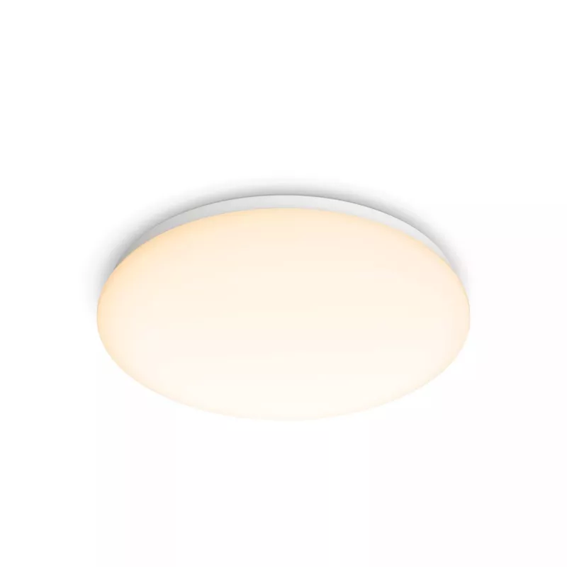 Philips Functional lubinis šviestuvas, LED, nekeičiamos lemputės, 2700 K, 1700 lm, IP20, balta
