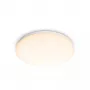 Philips Functional lubinis šviestuvas, LED, nekeičiamos lemputės, 2700 K, 1700 lm, IP20, balta
