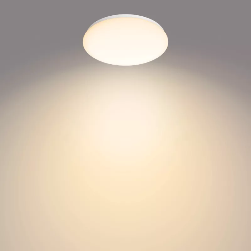 Philips Functional lubinis šviestuvas, LED, nekeičiamos lemputės, 2700 K, 1700 lm, IP20, balta