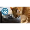 Automatinė gyvūnų vandens fontanėlė Philips 3000 Series PAW3210/02, 2,2 l, USB/AC, juoda, plastikas
