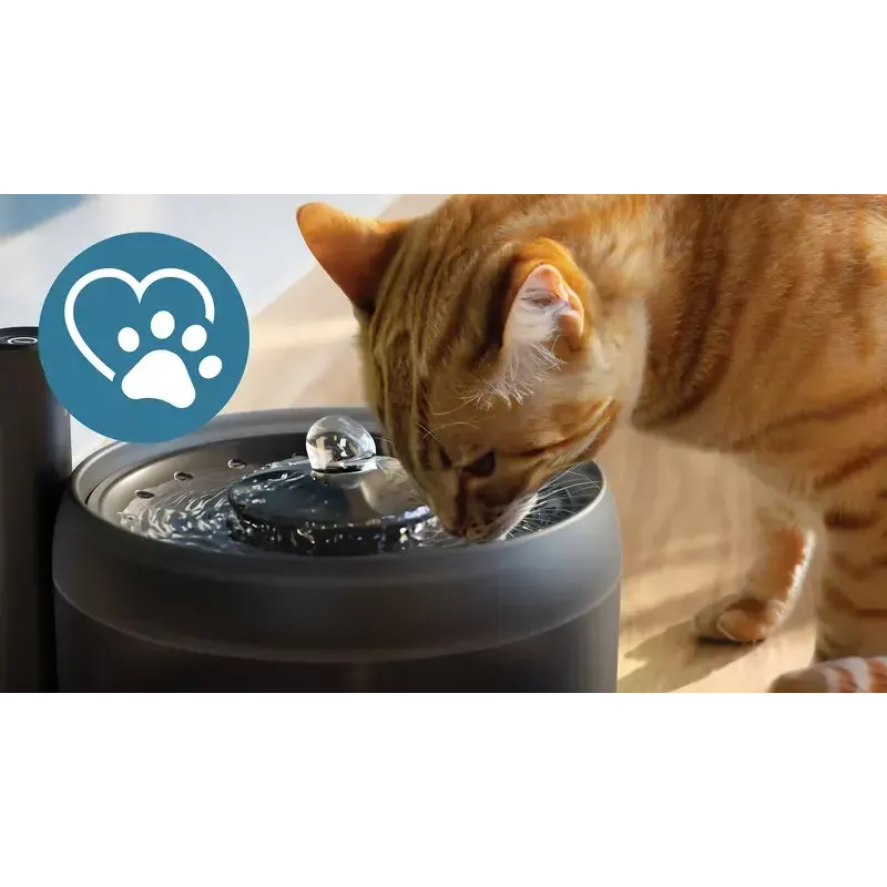 Automatinė gyvūnų vandens fontanėlė Philips 3000 Series PAW3210/02, 2,2 l, USB/AC, juoda, plastikas
