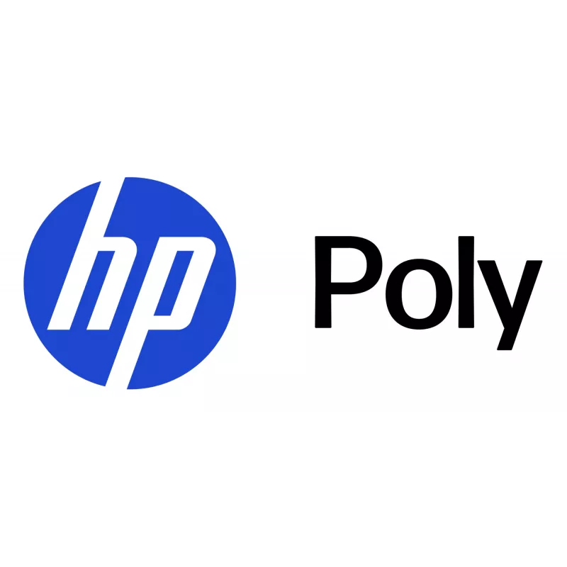 HP Poly odinės (Leatherette) ausų pagalvėlių rinkinys