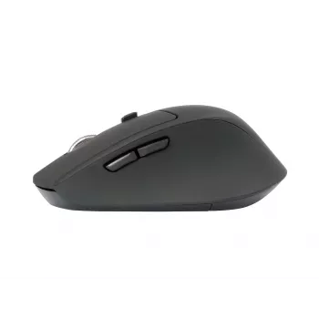 Conceptronic LORCAN02B Ergo pelė Biuro Dešiniarankiams Bluetooth Optinė 1600 DPI